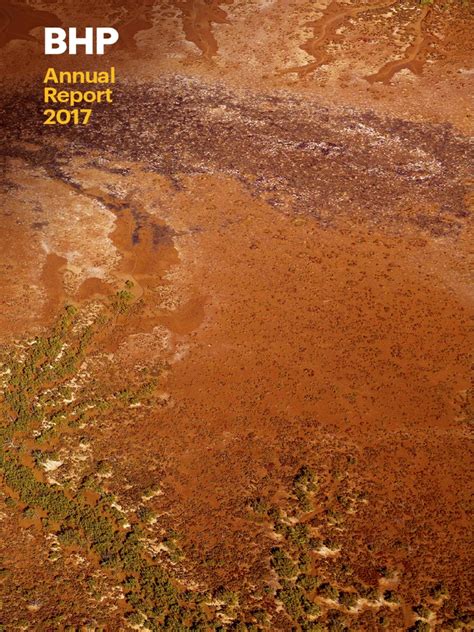 bhp annual report 2017